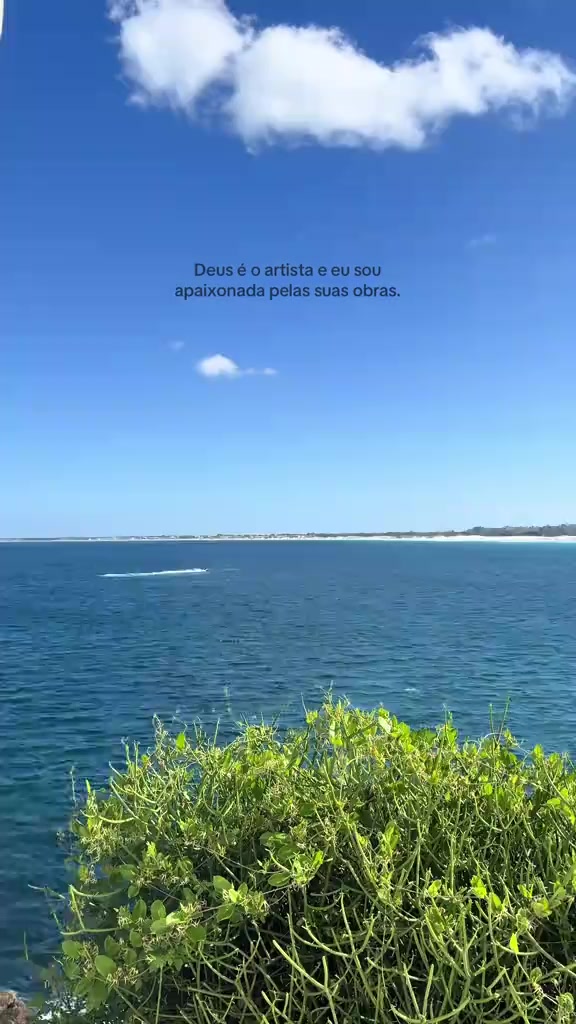 @aurorinha