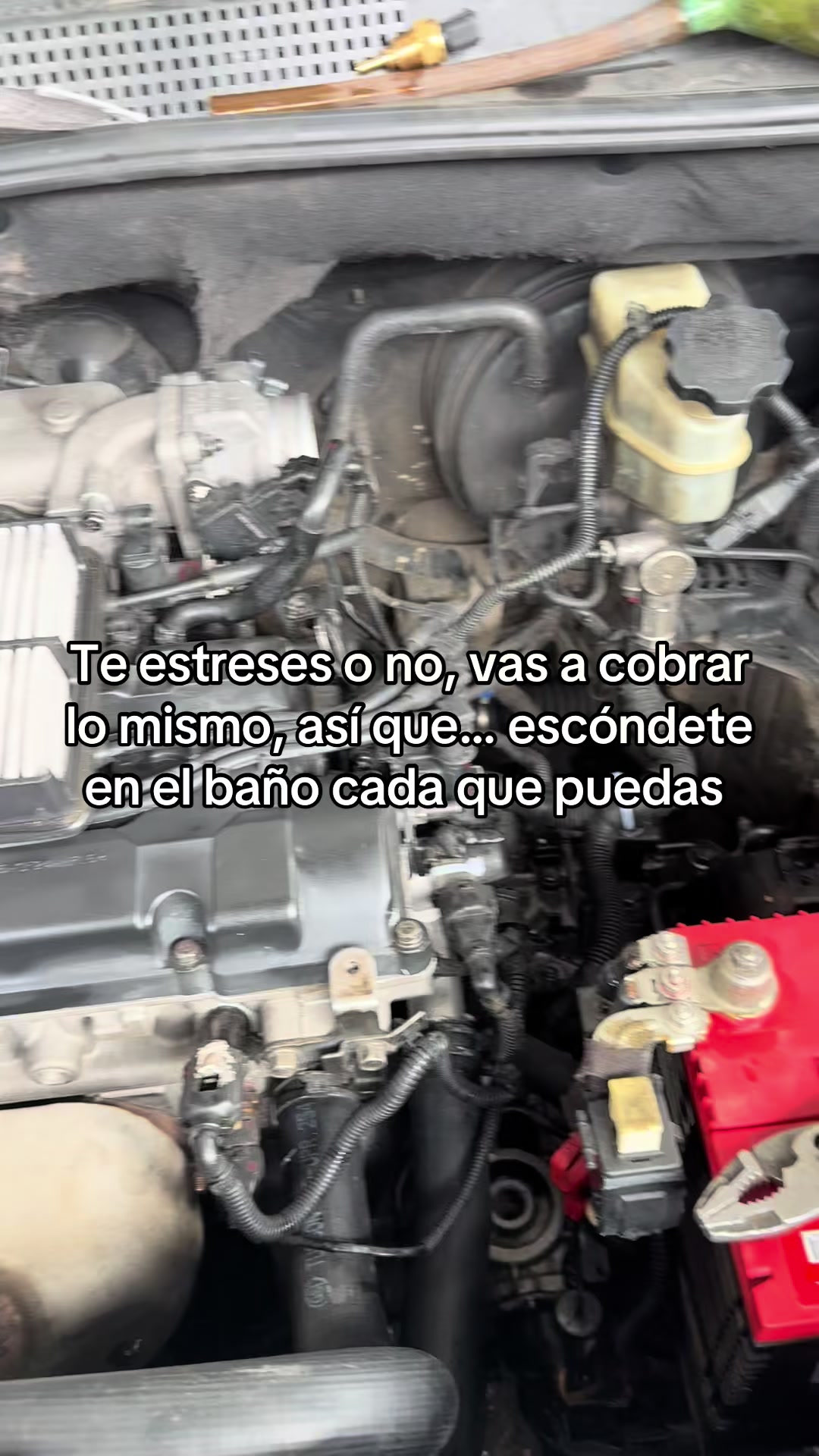@Croautos