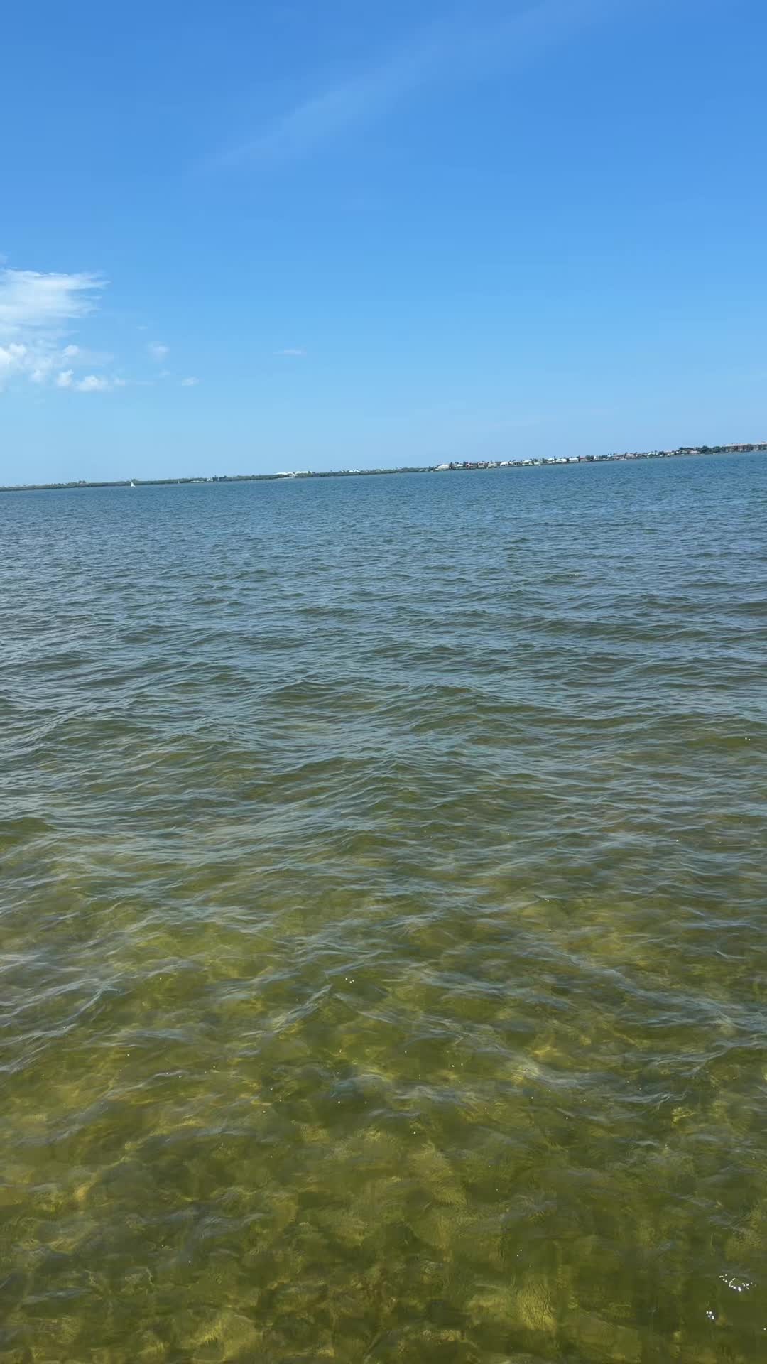 @floridamade_ryan