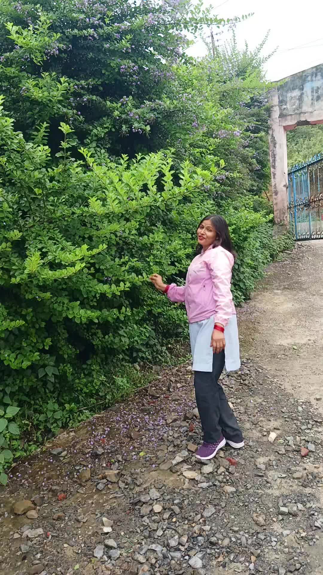 @Gita Rijal