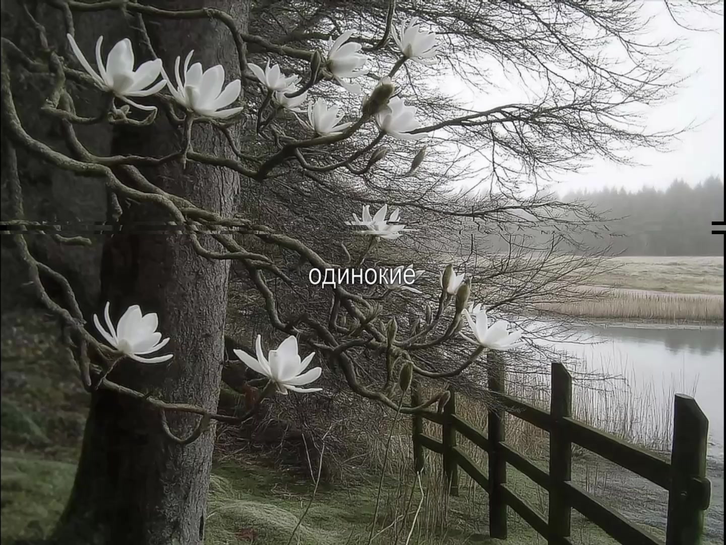@музыка для липсингов
