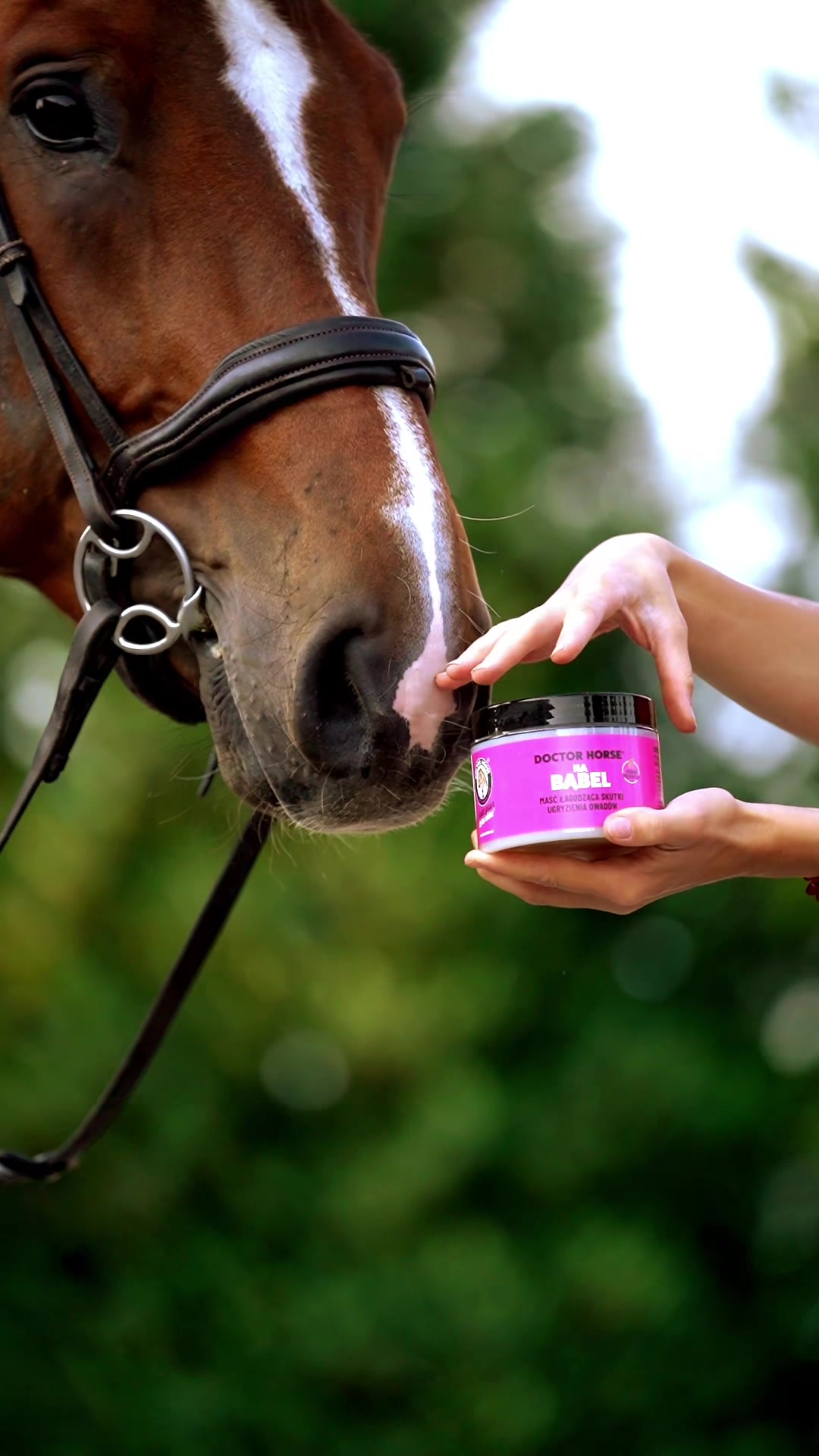 @Doctor Horse