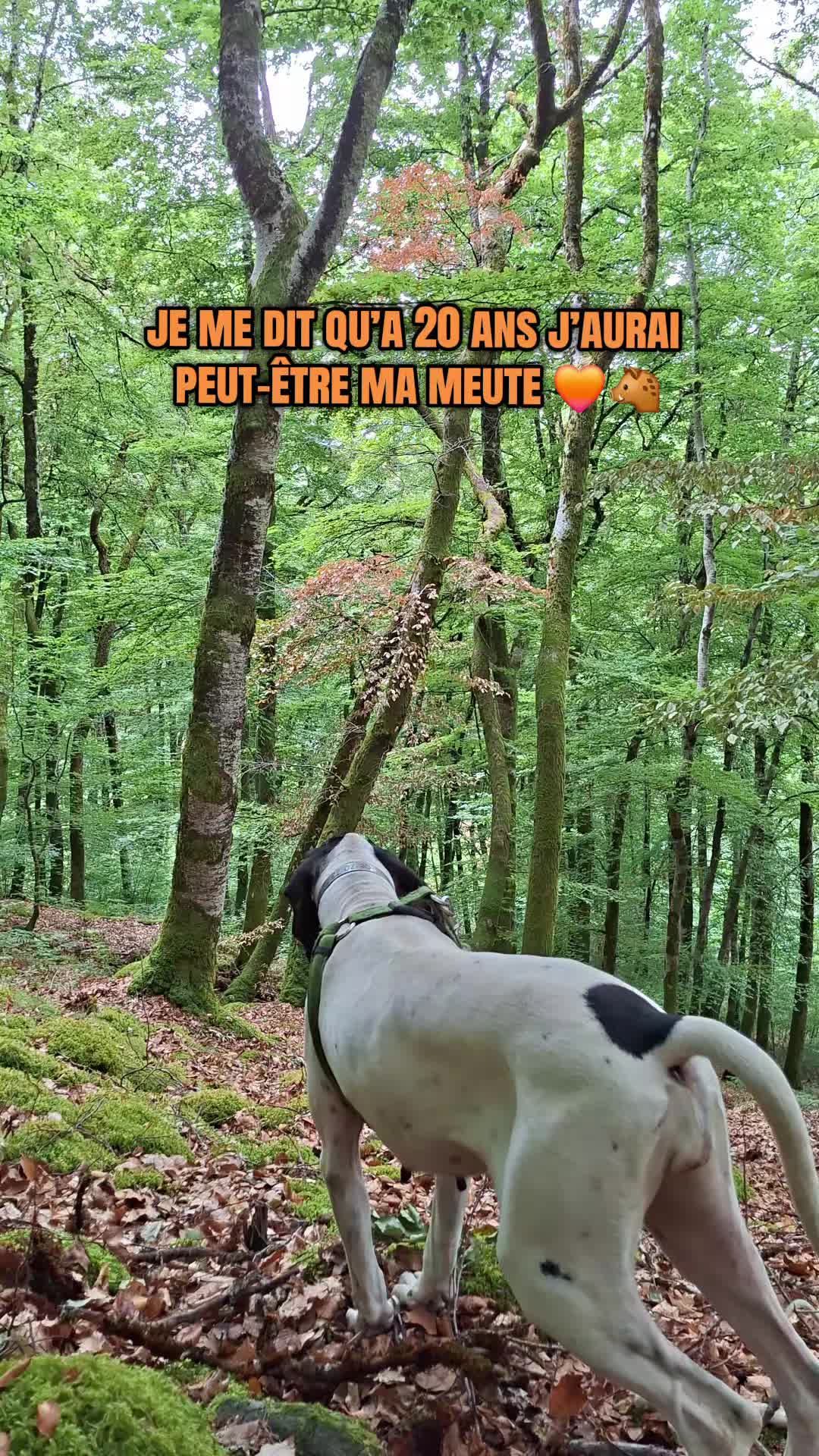 @Passion_du_gascon_15