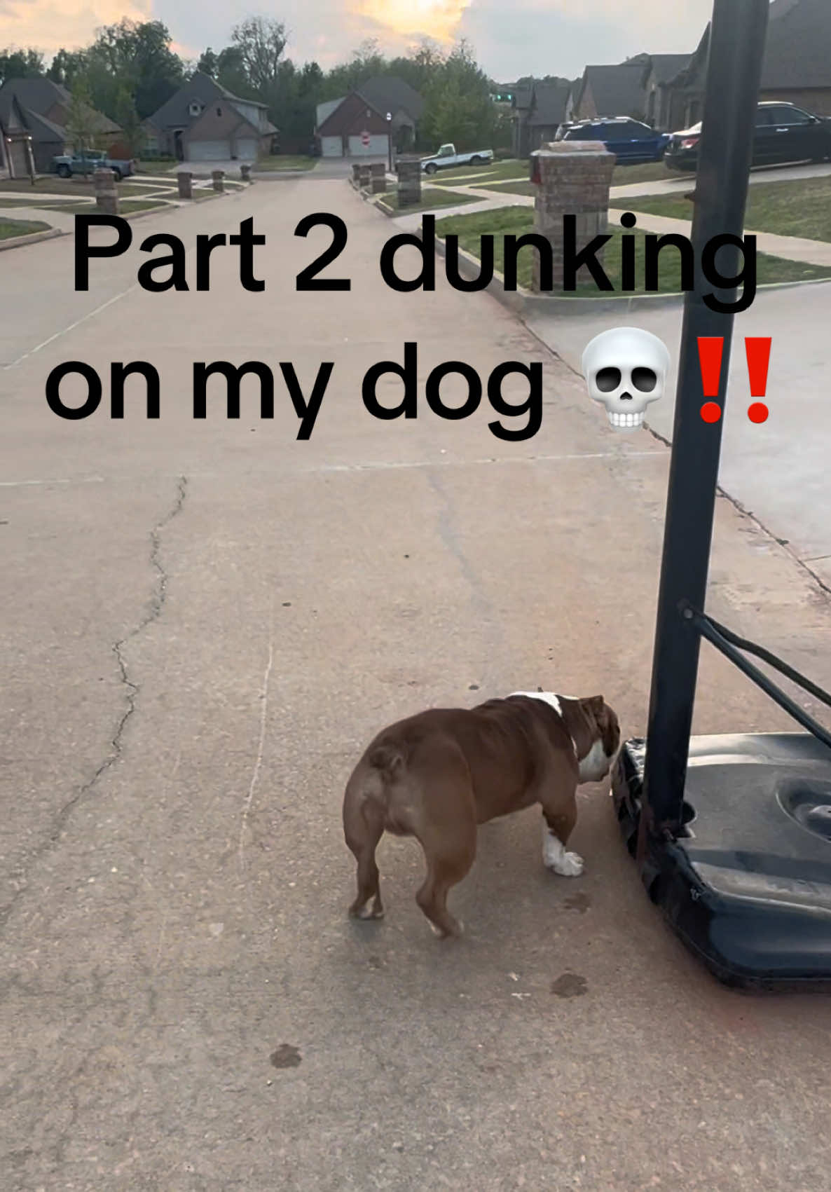 @FamousBullyOffset