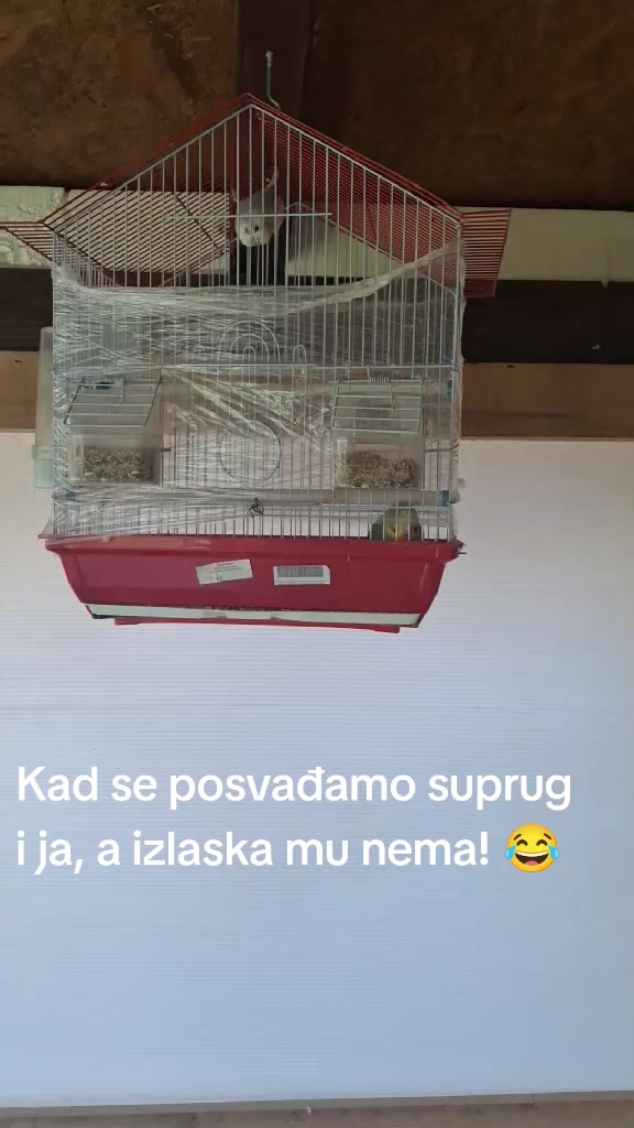 @sandra