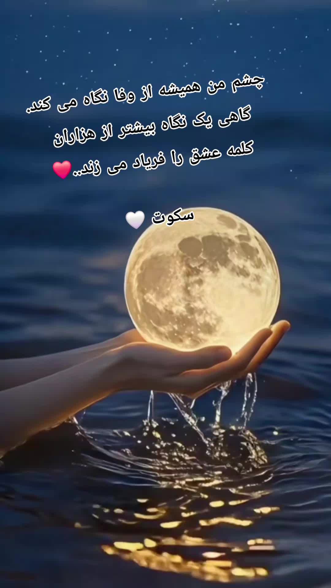 @سکوت 🌺🌺🌺
