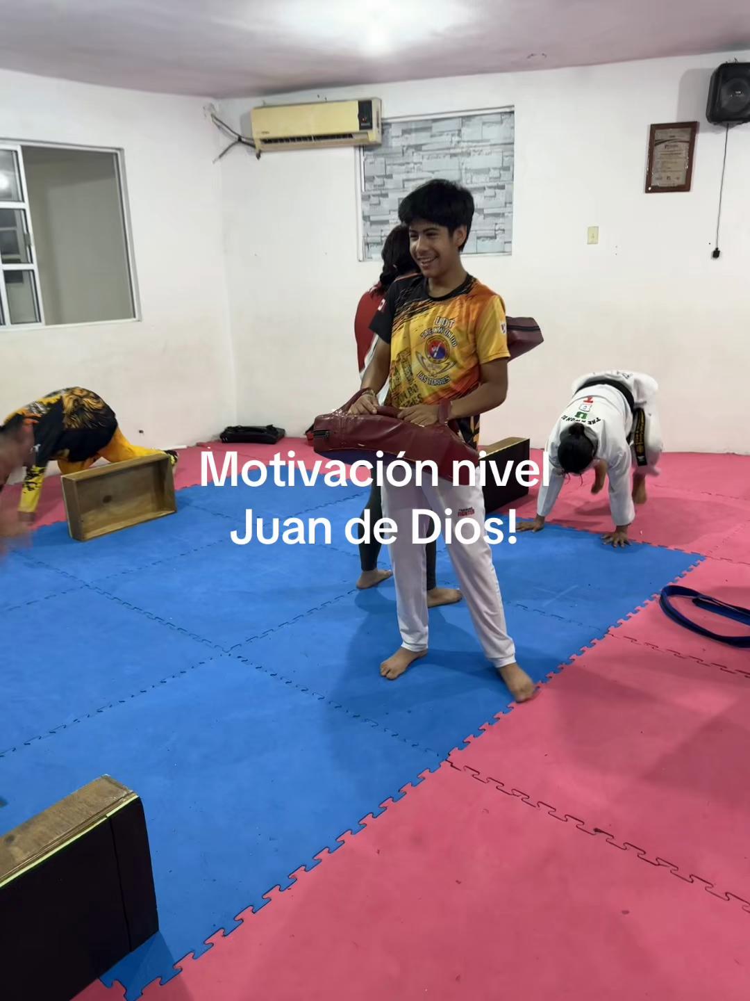 @taekwondolionsteam