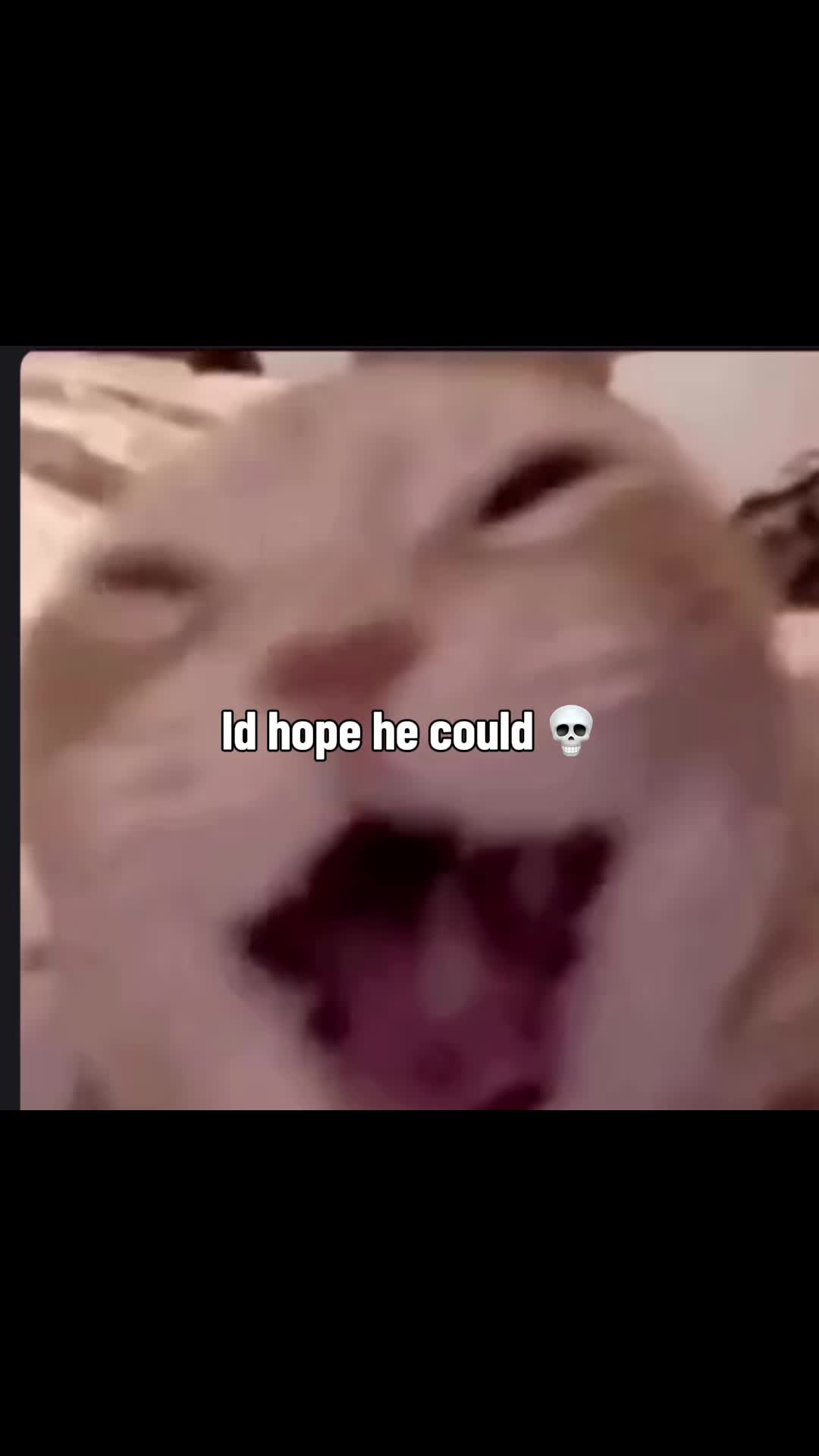 @Kai_benchesweight