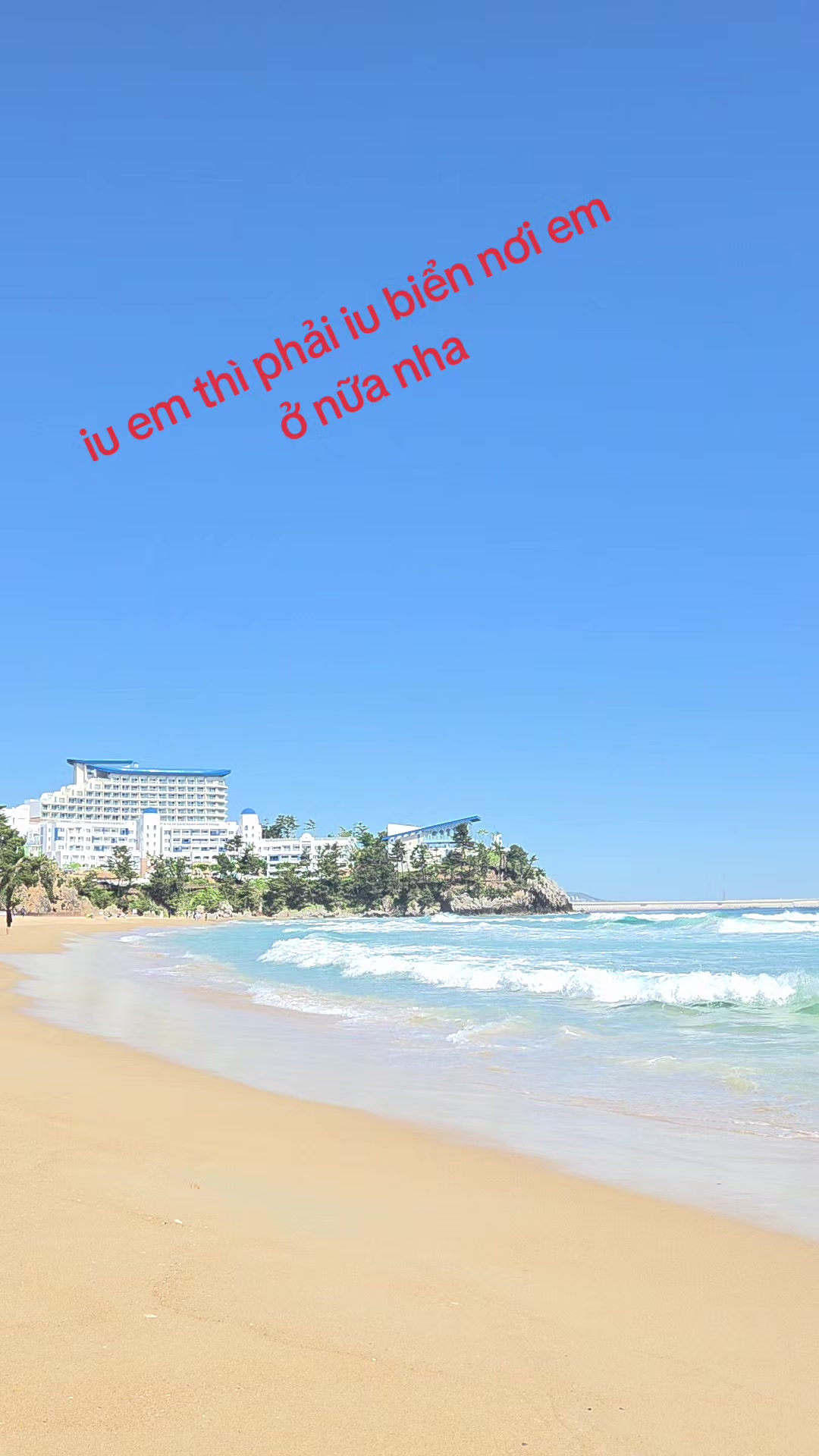 @g&aacute;i hải dương