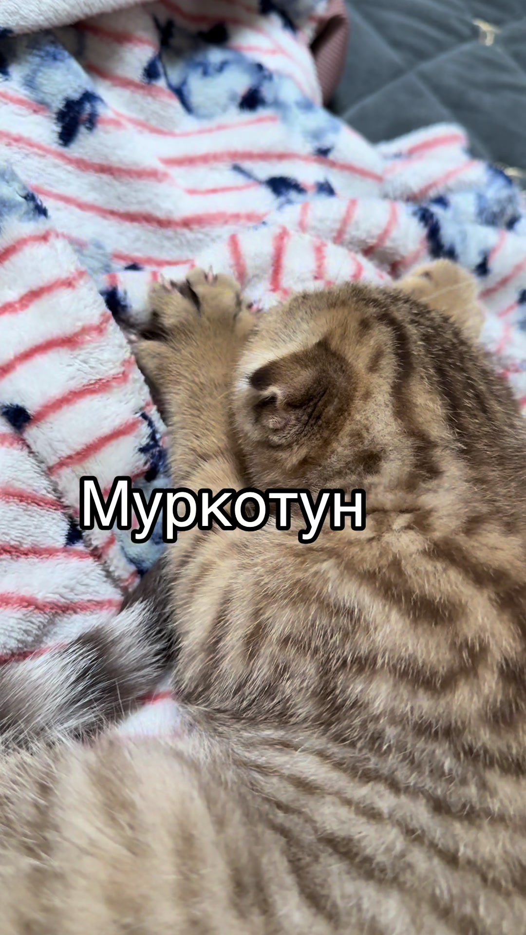 @Poznyak.08