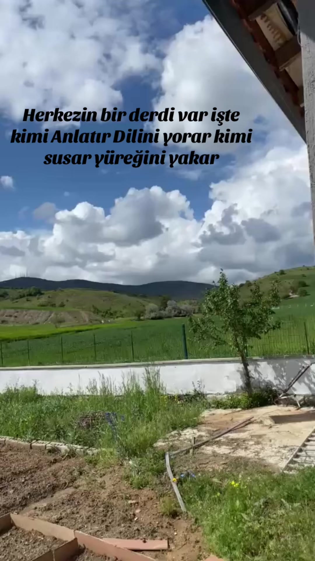 @nuray erkoç⭐️