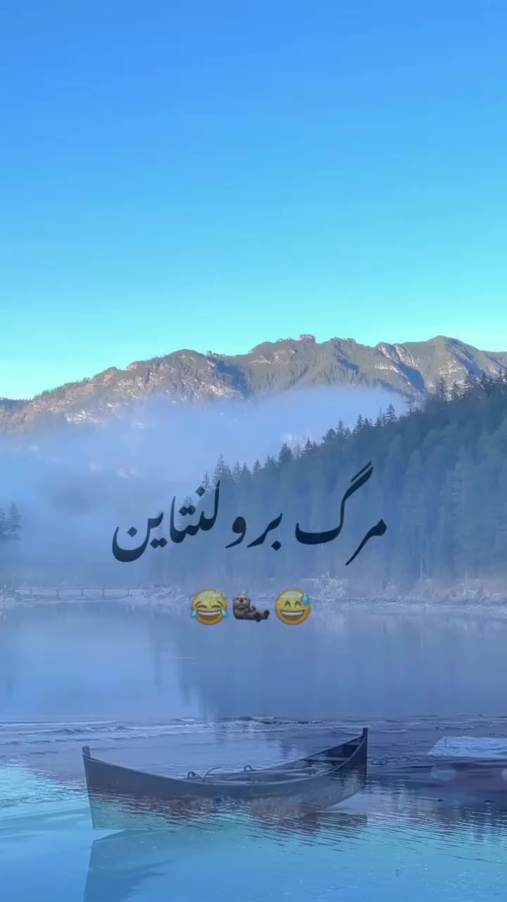 @Mohammad panahi 🇩🇪