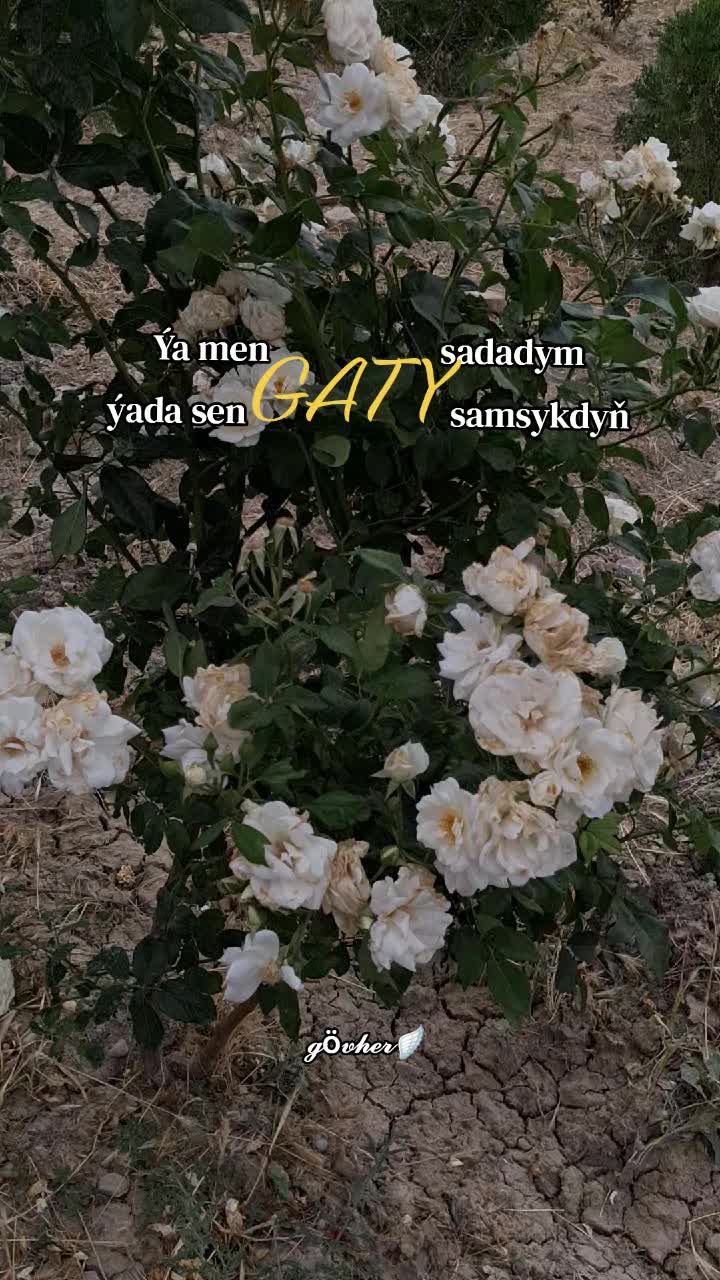 @𝓰ö𝓿𝓱𝓮𝓻🪽