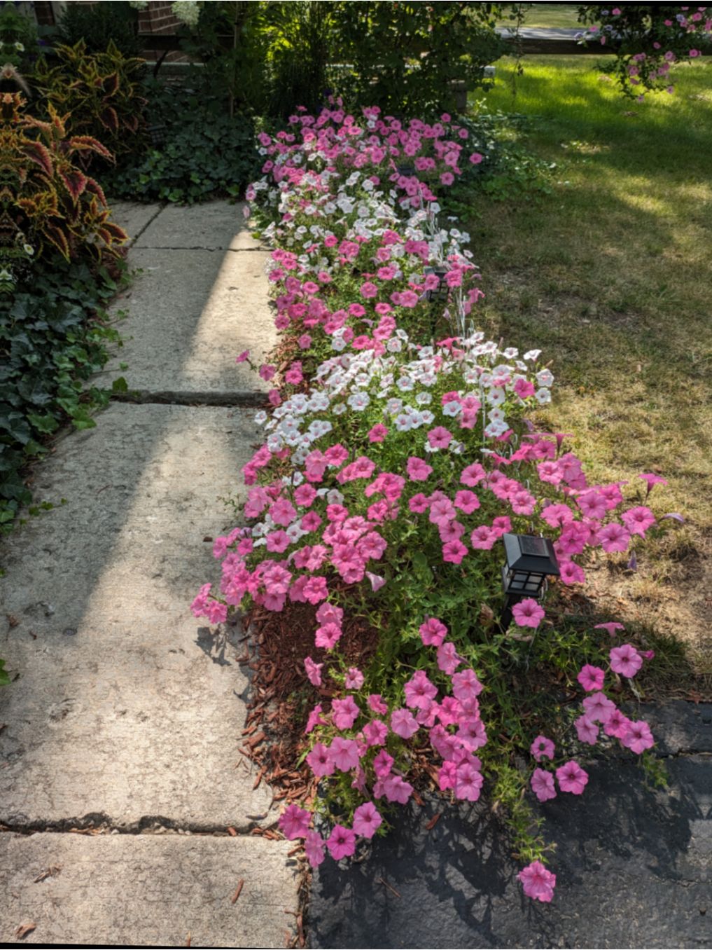 @The Plantiful Gardener