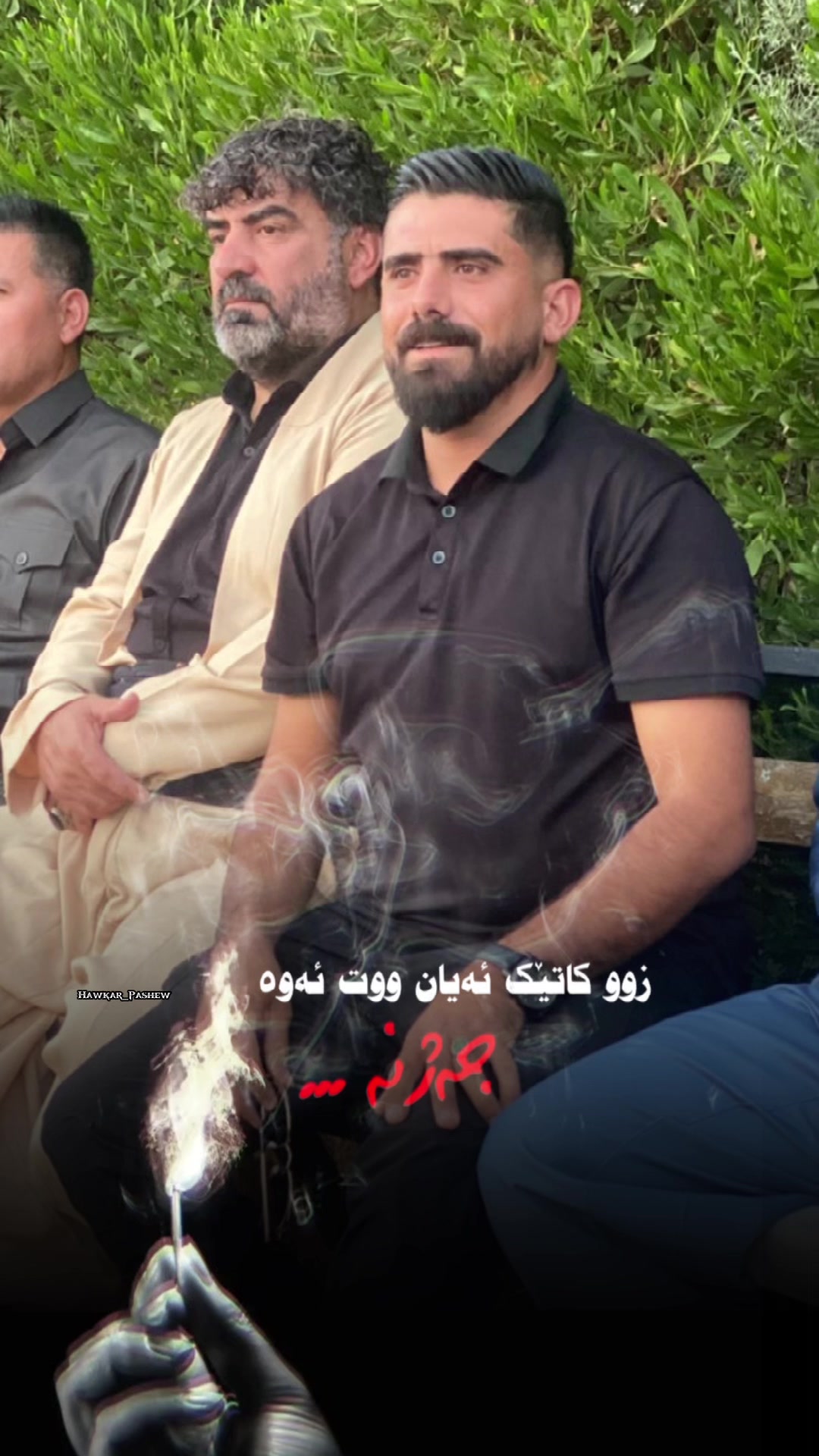 @زانا سيد نجم