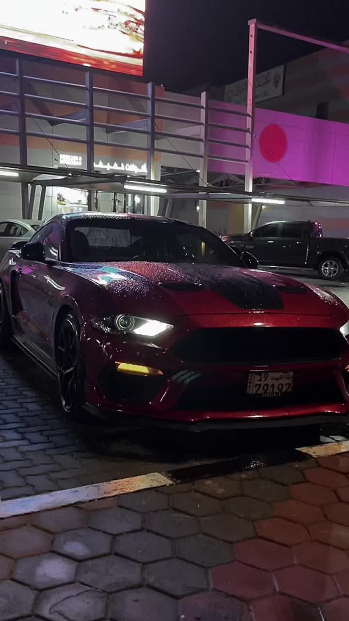@shayakwt