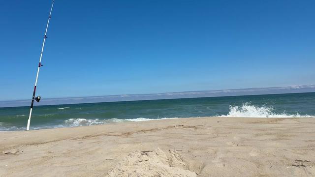 @Noel💜🧡🤘🏼⛈️☀️🌊🌺🐾