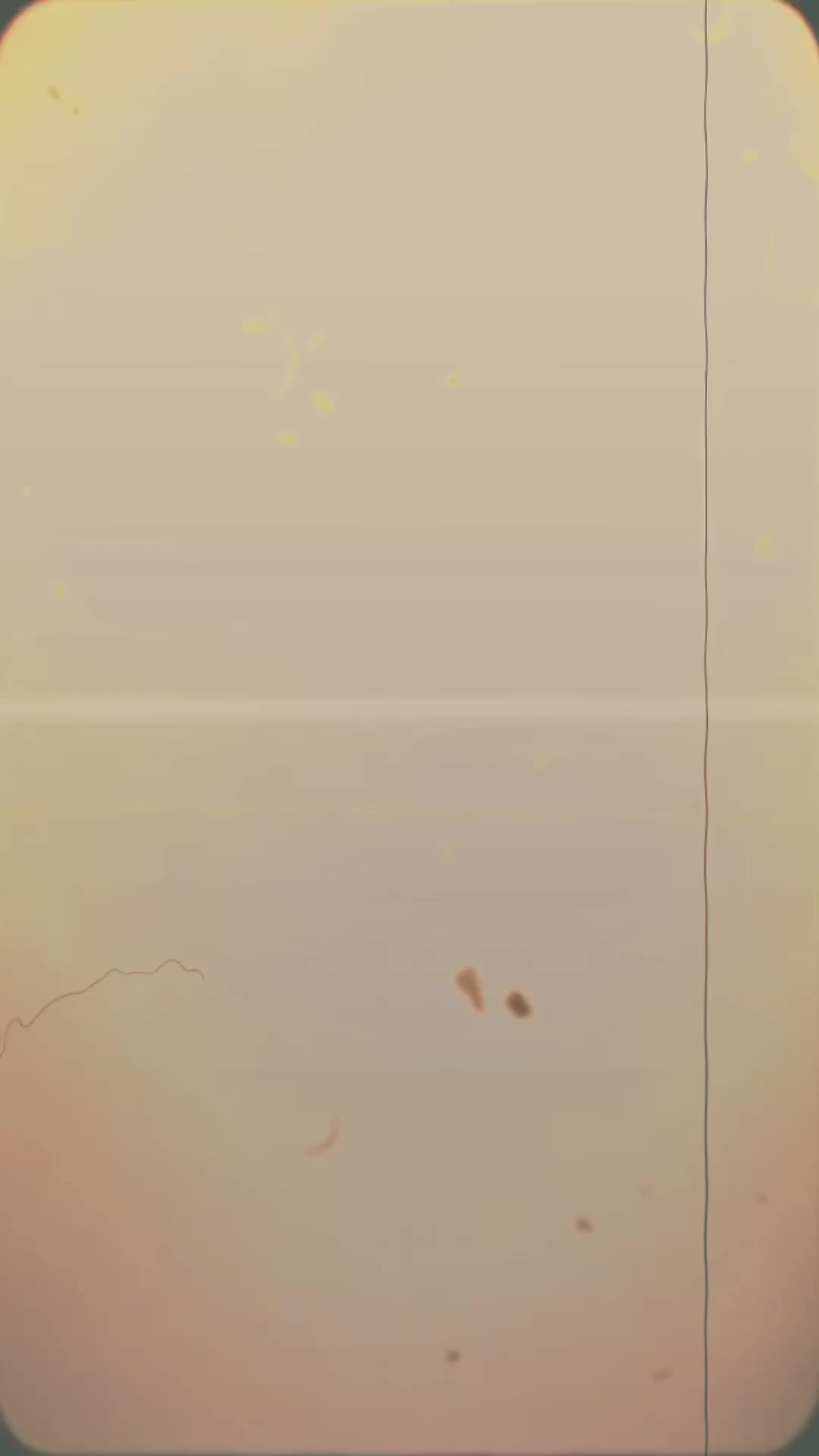 @⎡9ㄒ乂⎦BOSS