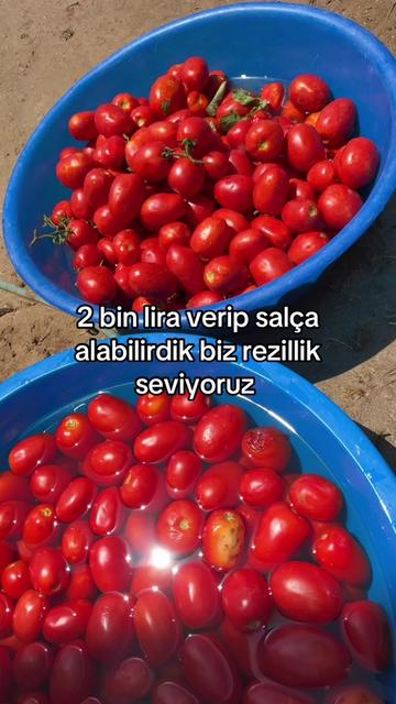 @Gülnur Kırmızı