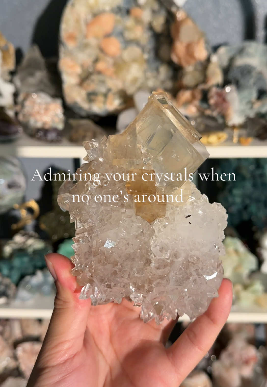 @Ettores Gems