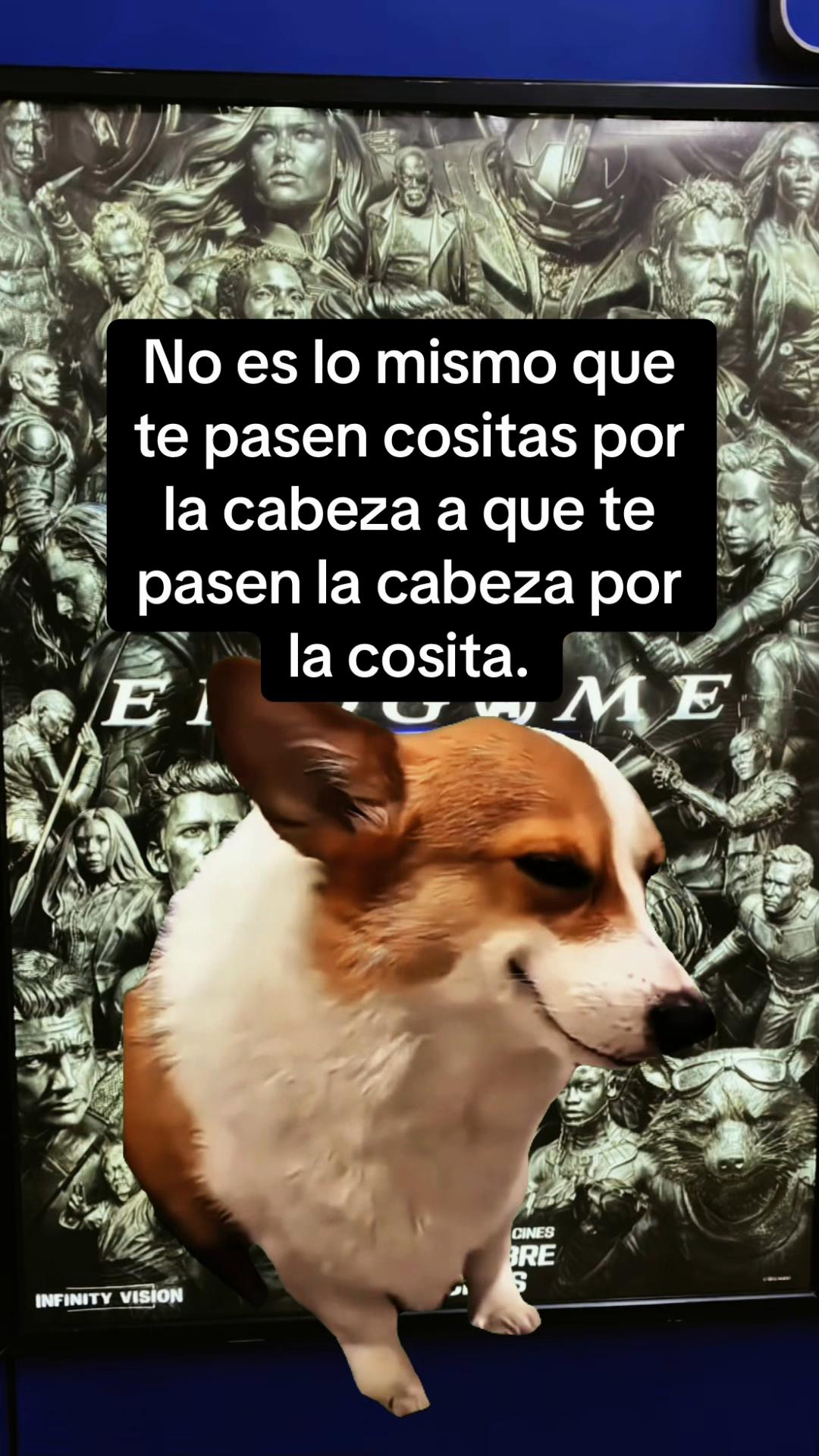 @jansonmania