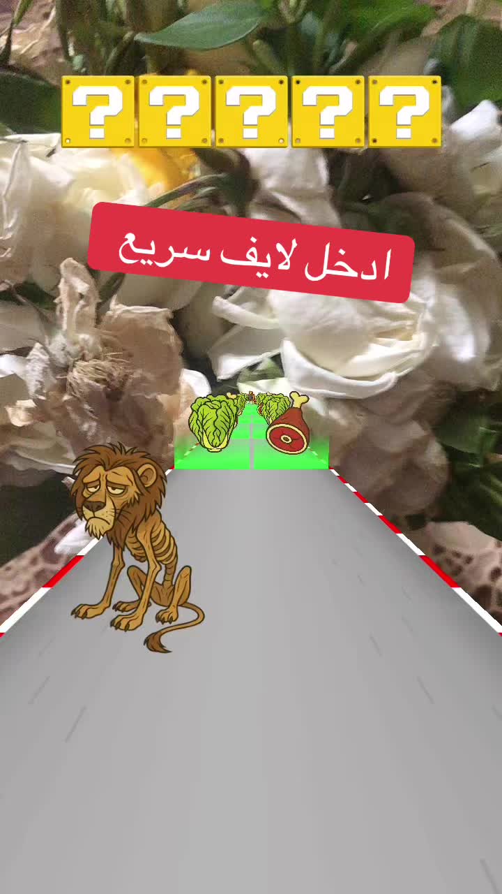 @noeral88