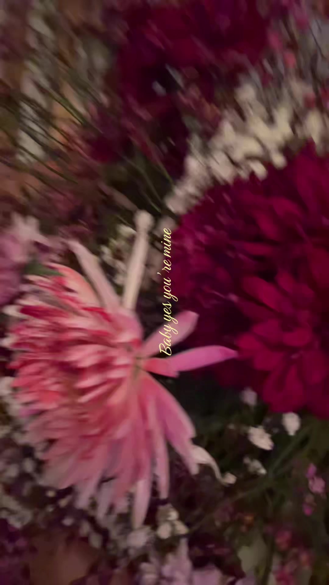 @s4mmxy