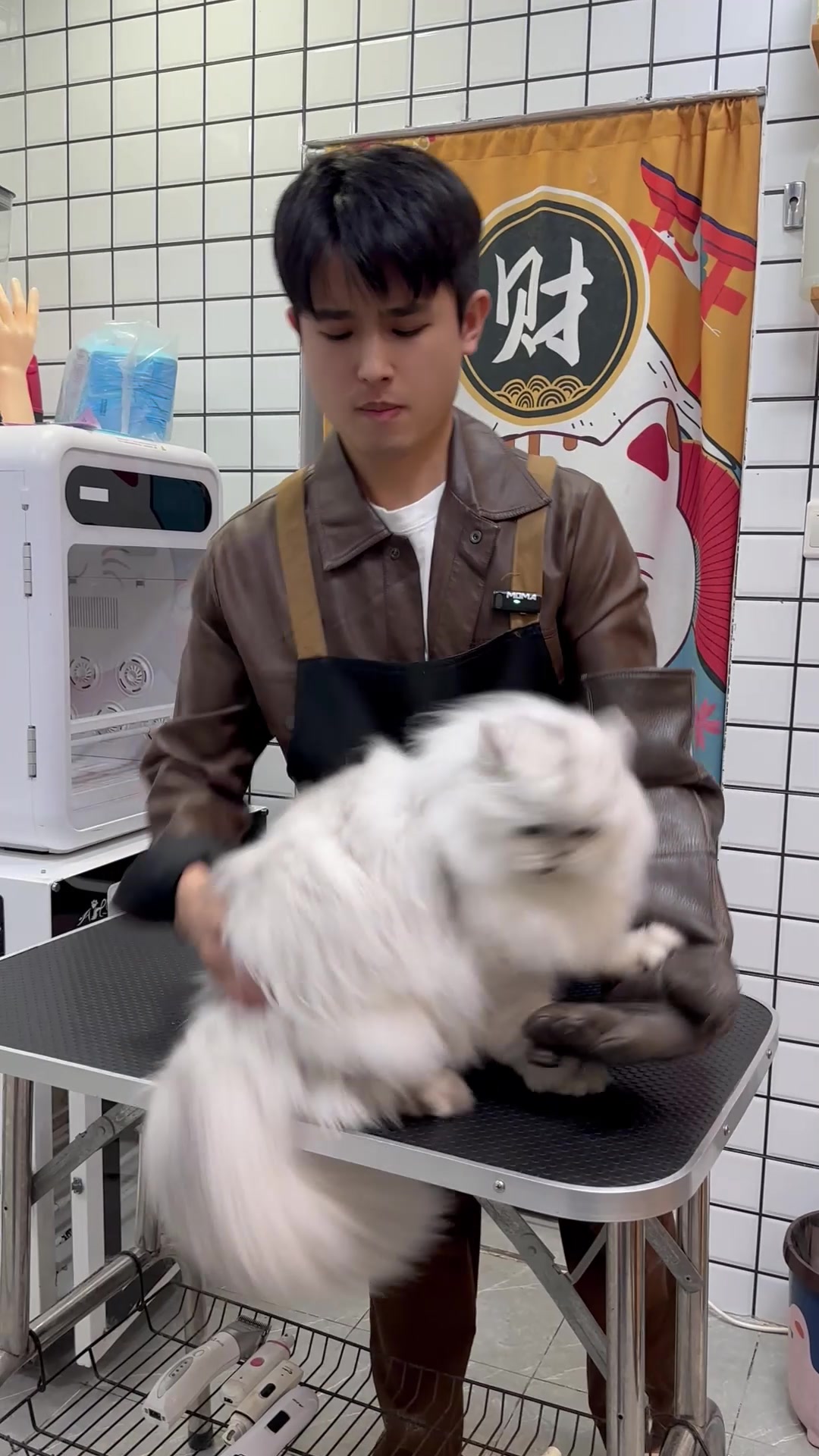 @washing.cats