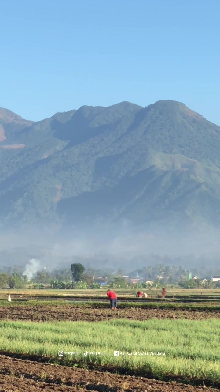@asligarut___