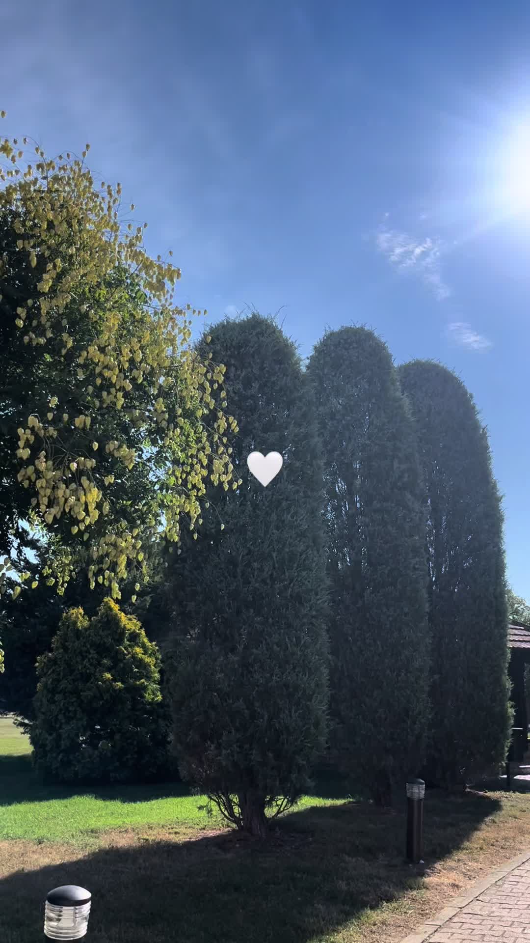 @aandjellic