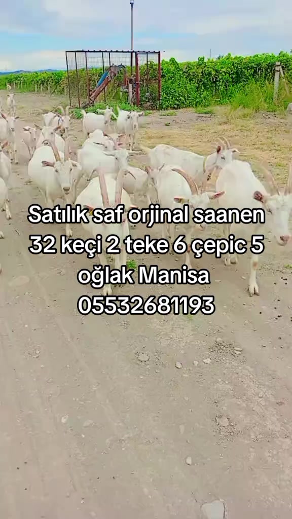 @Mustafa✔️Malçok✔️