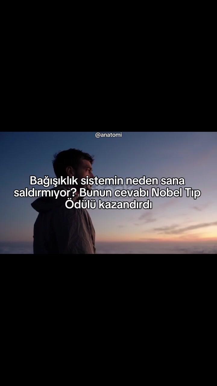 @Anatomi