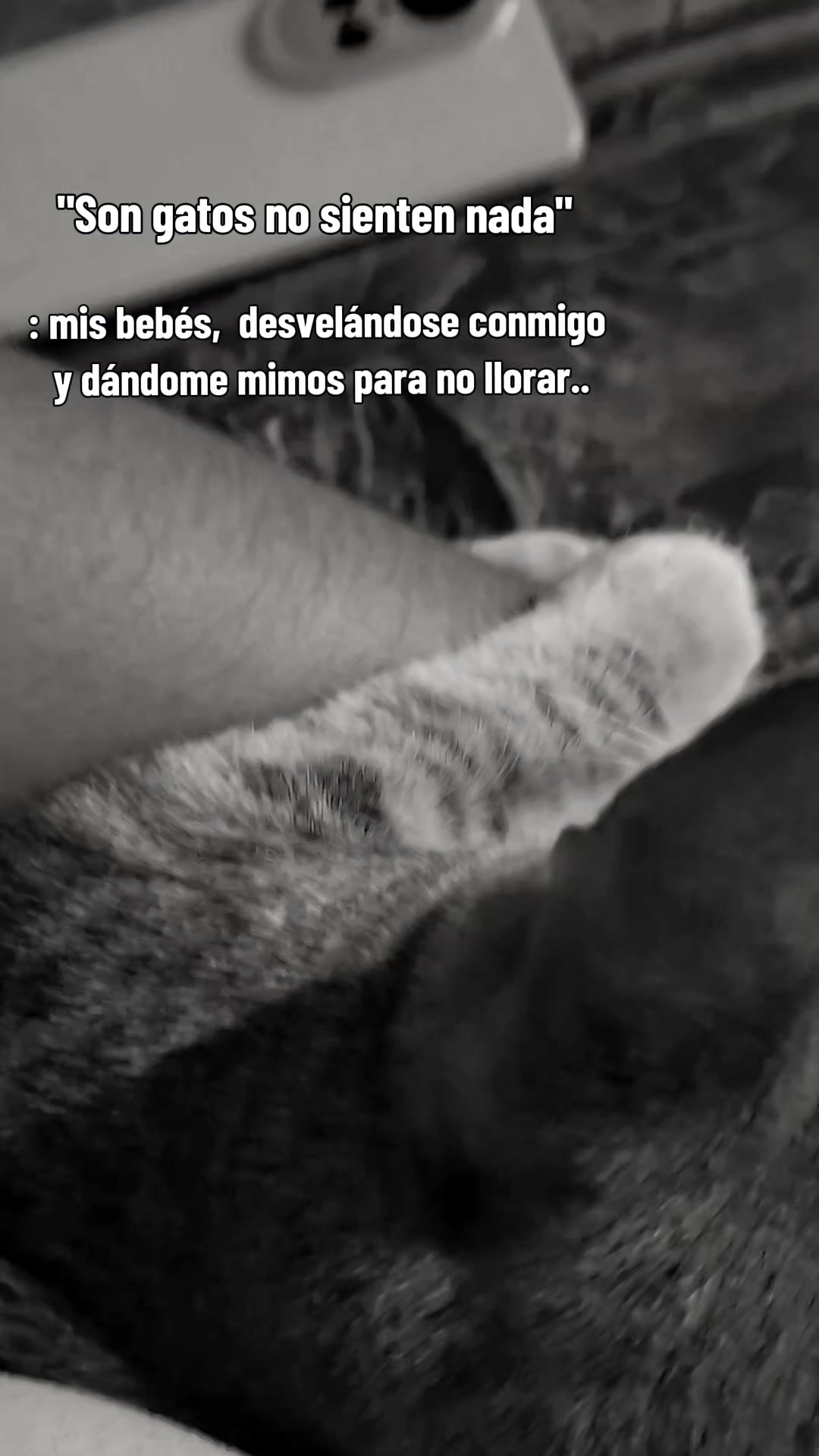 @🐱💞