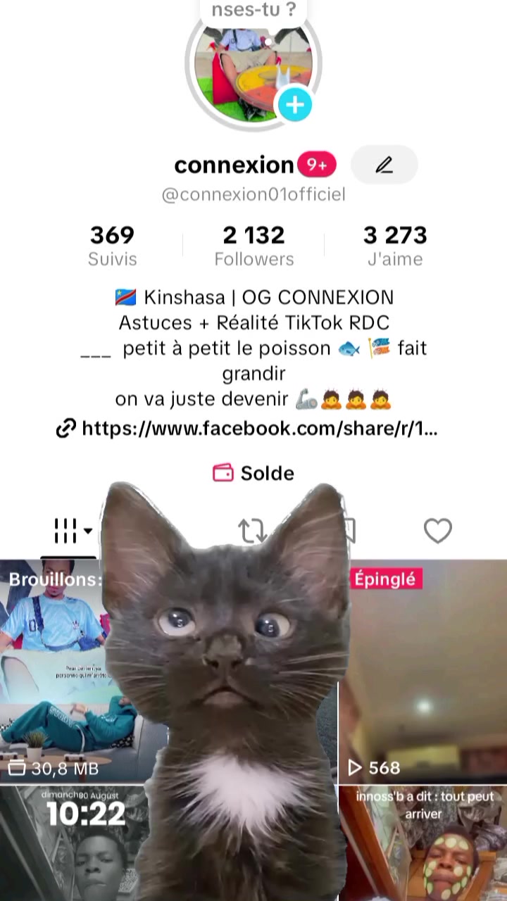 @connexion