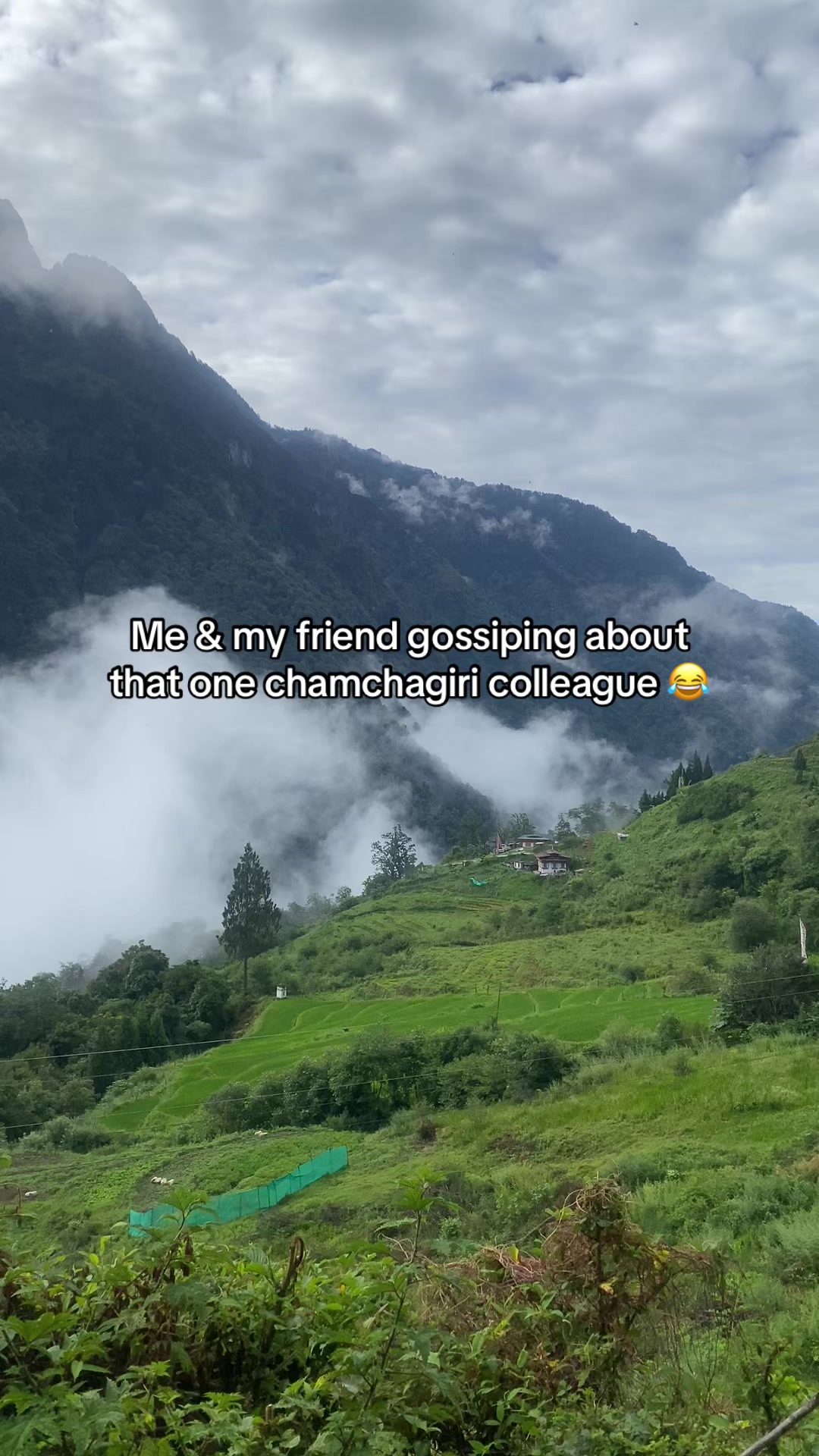 @healingbht