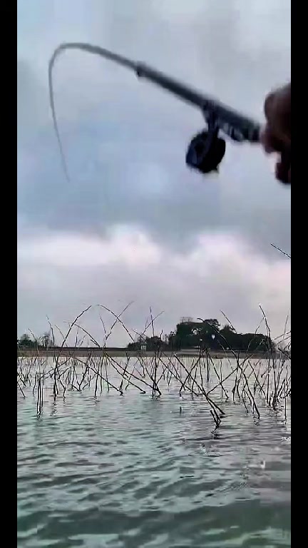 @MAFIA FISHING