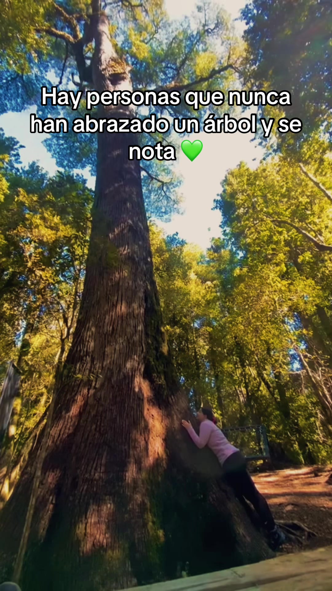 @Fernanda Alcayaga