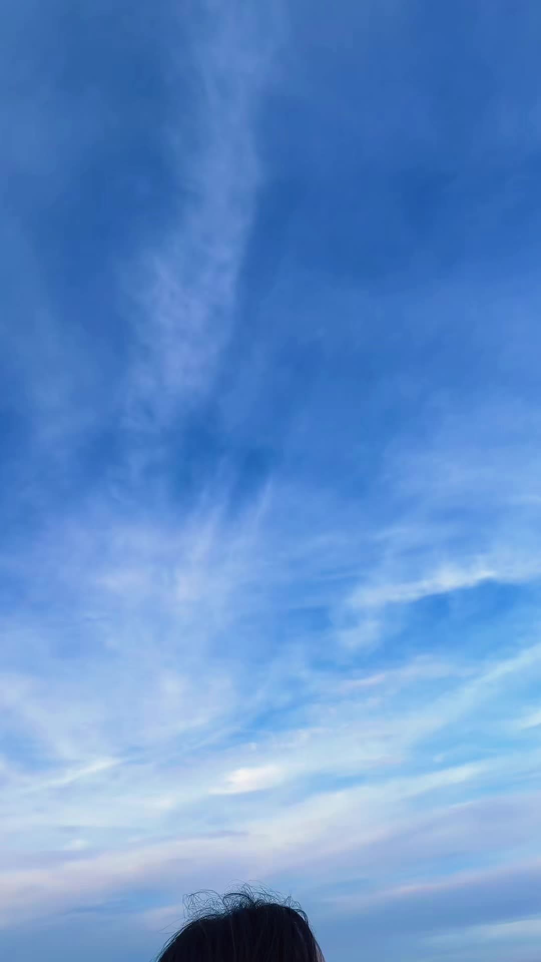 @Shanti🕊️