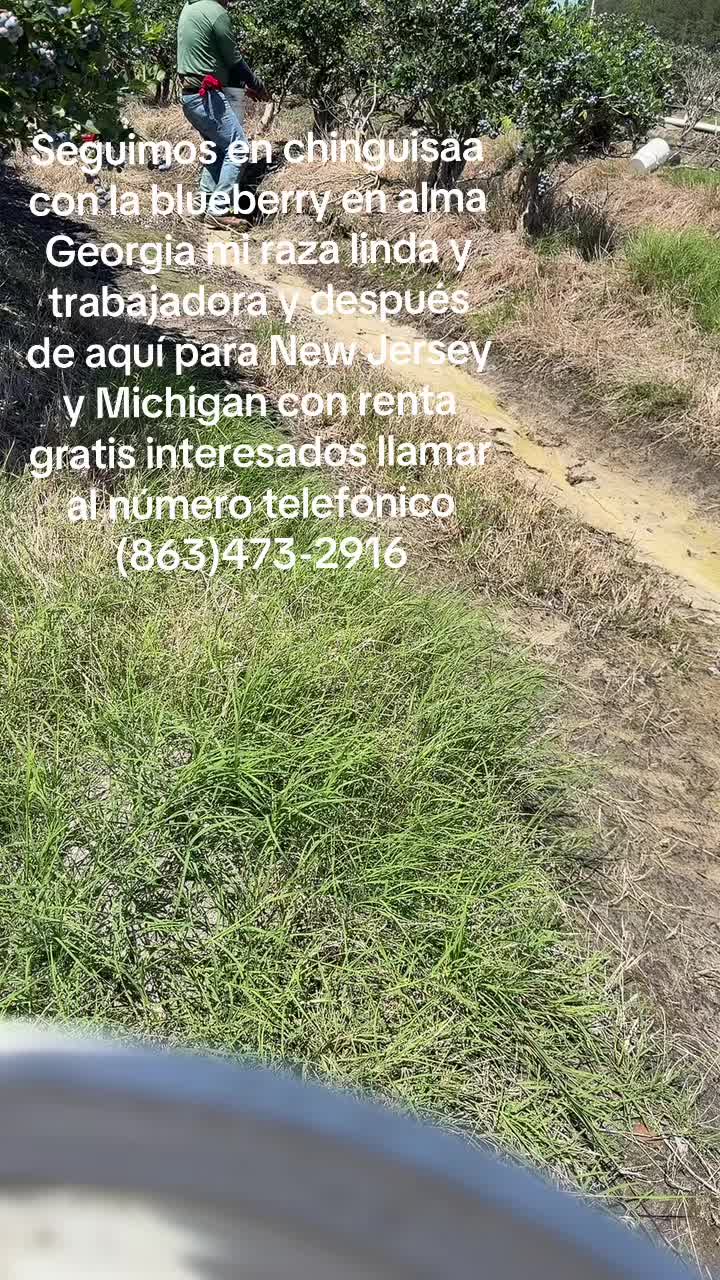 @purarazatrabajadora1