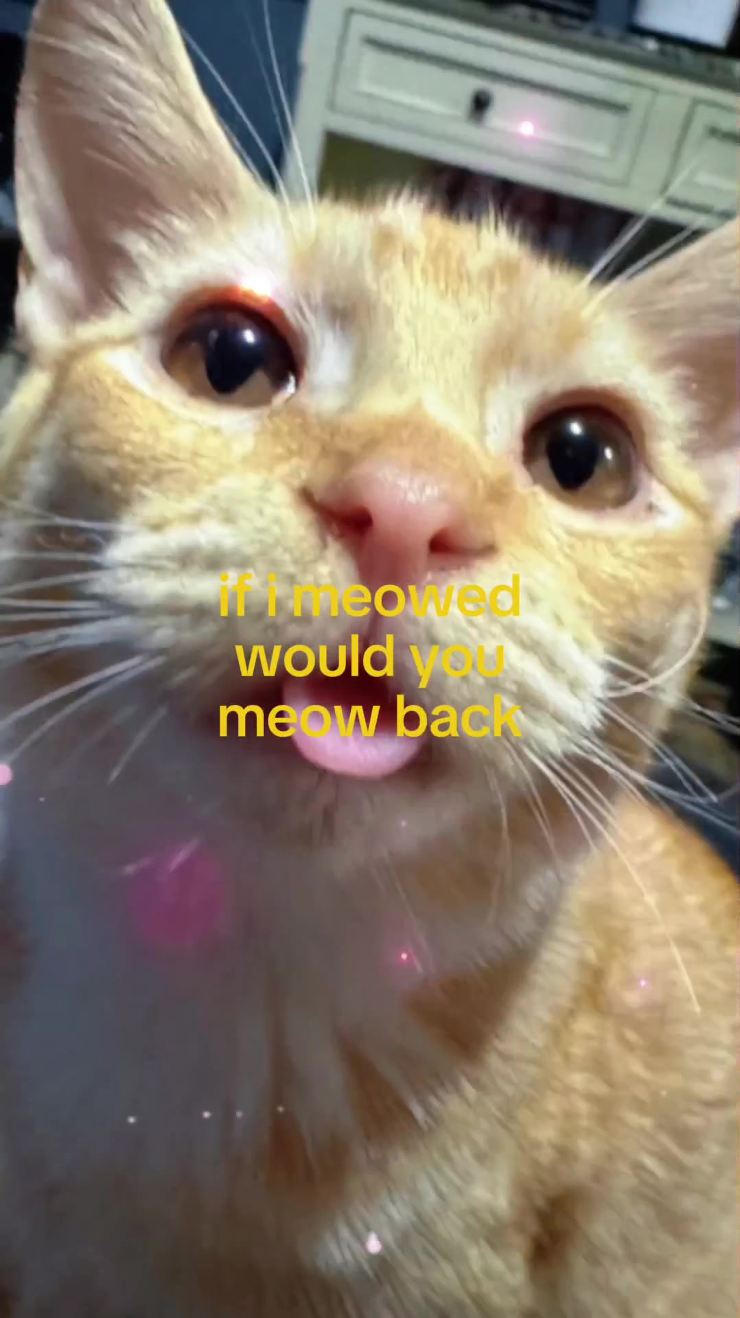 @Doug funny