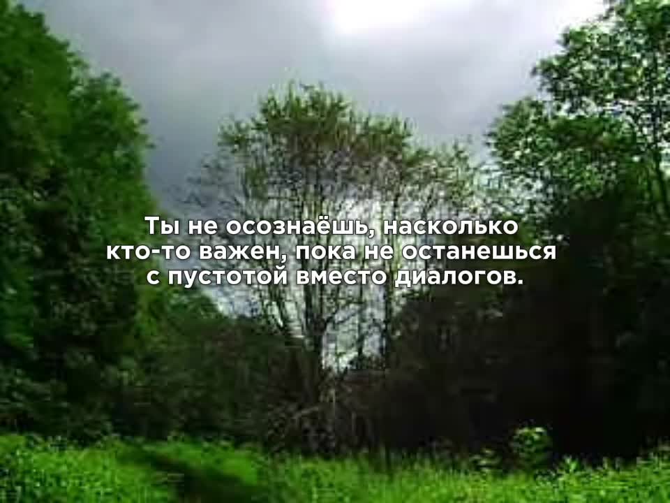 @Пожилой паук