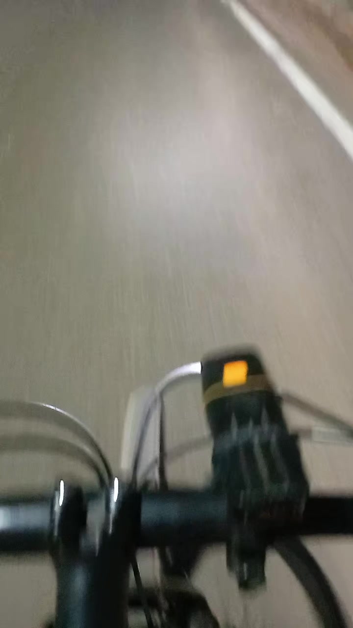 @dilairrodrigues7