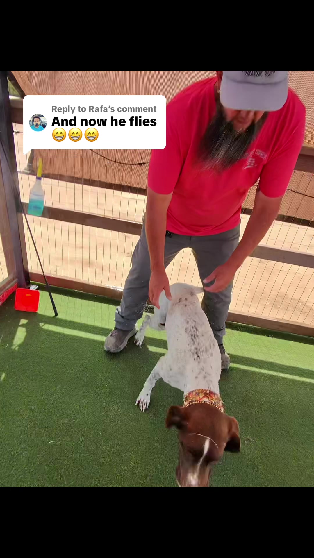 @alice_the_gsp