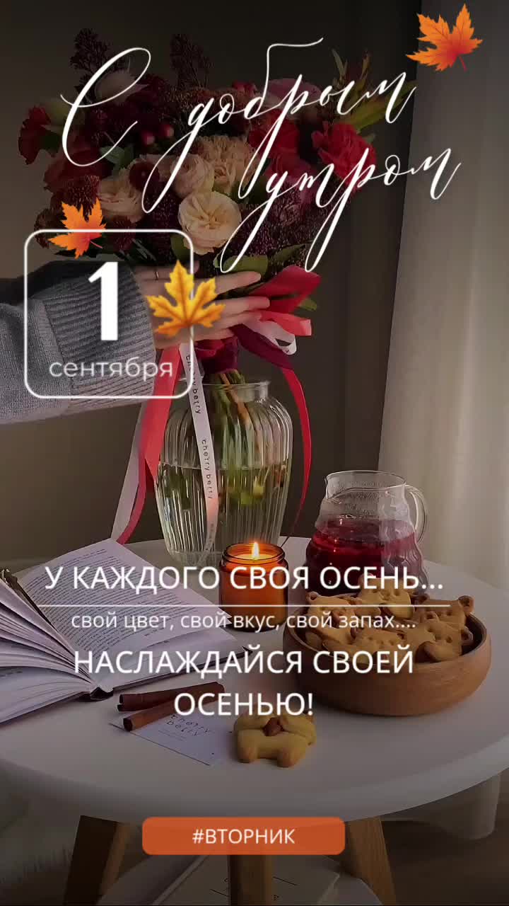 @꧁༺ 𝓞𝓵𝓰𝓪_𝓿.𝓭 ༻꧂