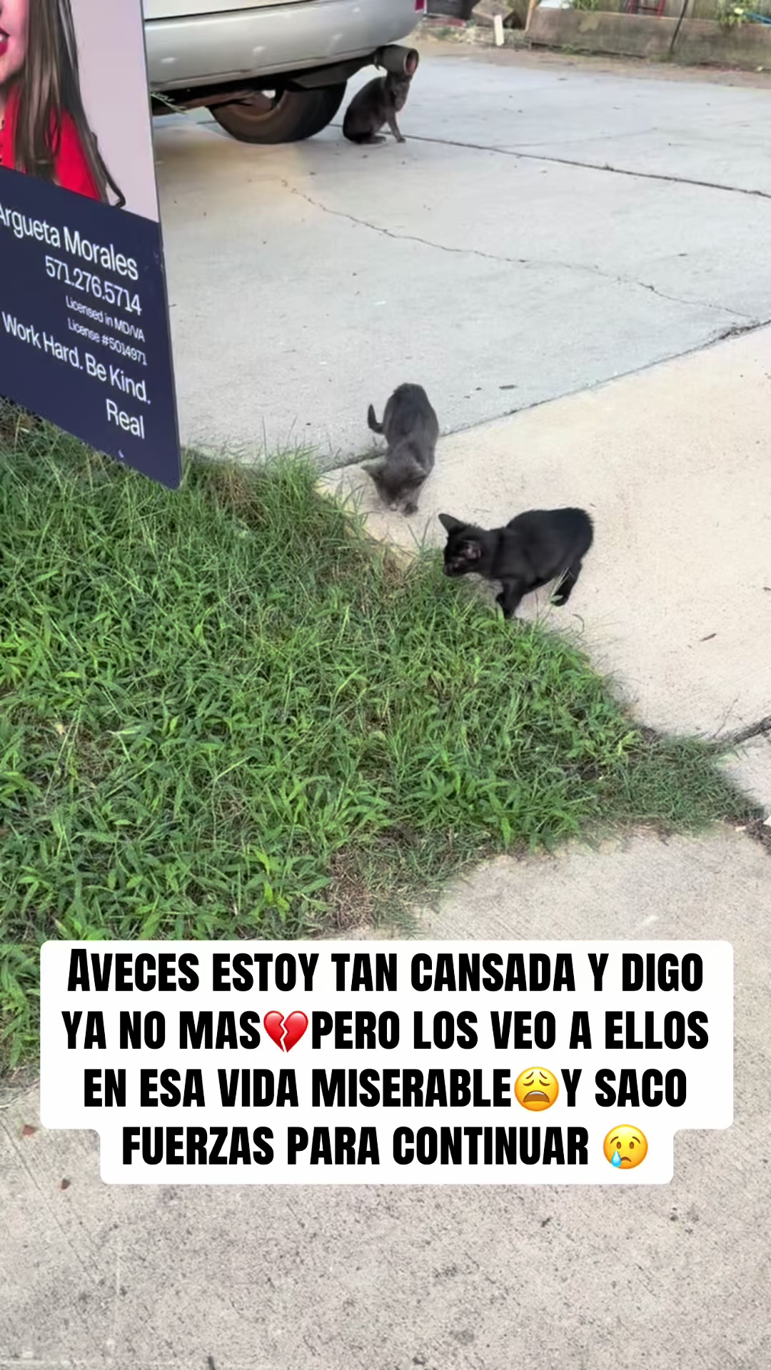 @rescatados por Chase