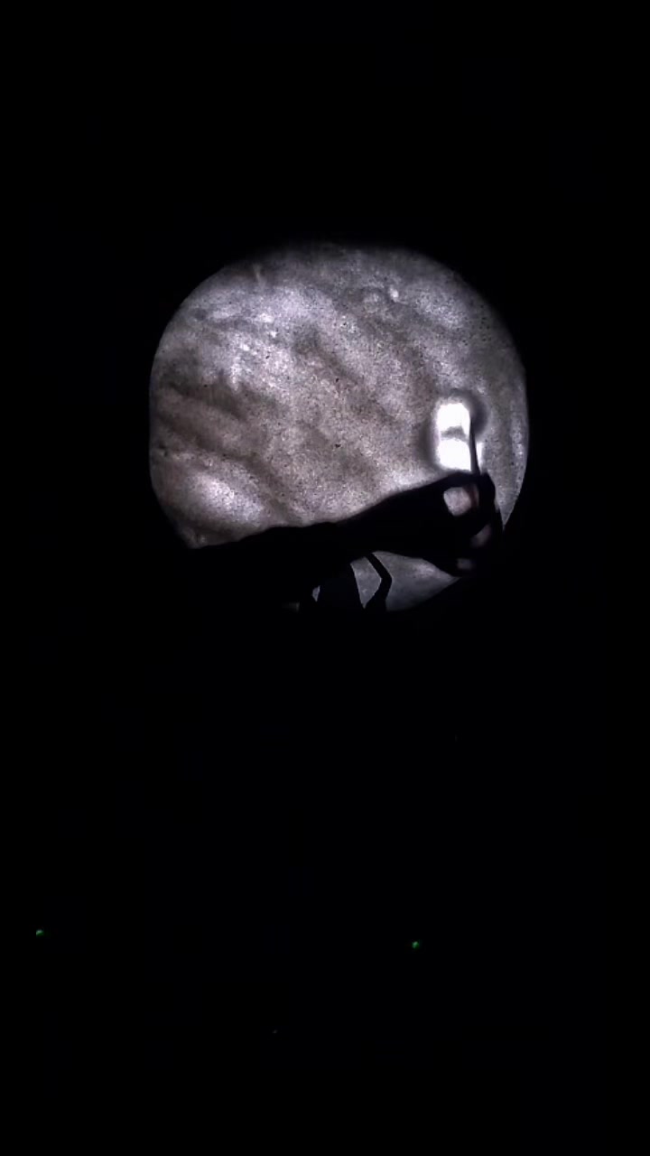 @بنتك ياليبيا 🌗