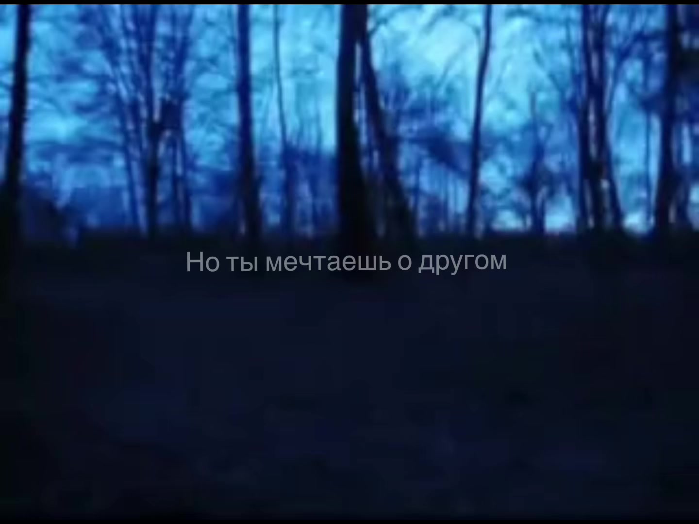 @🧉Соня_Шип🧉