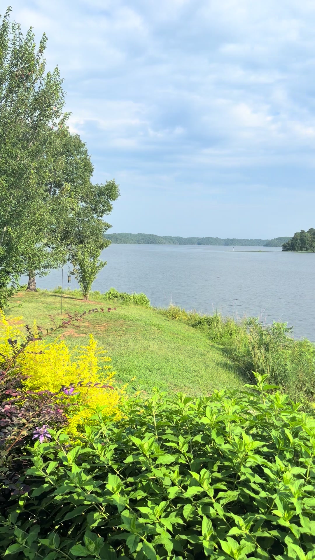 @Makenzie Mims | Realtor