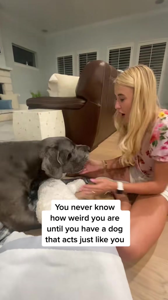 @Calliope & Athena Bleu