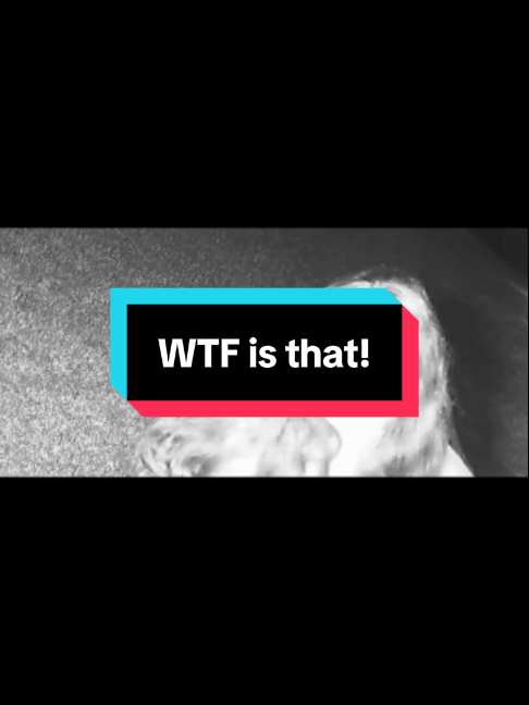 @Haunted TikToks